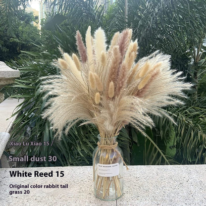 Boho Trockenblumenstrauß – Pampasgras, Hasenschwanzgras & Schachtelhalm naturgetrocknet